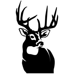 Perfect 10 Whitetail Deer Wall Decal