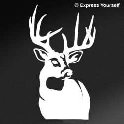 Perfect 10 Whitetail Deer Decal