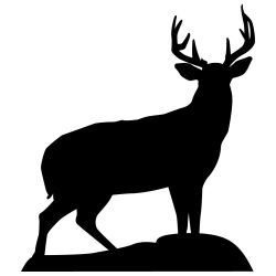 Trophy Buck Wall Decal