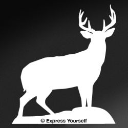 Trophy Buck Decal