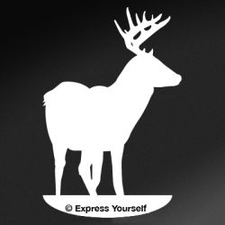 On Alert Whitetail Deer Decal