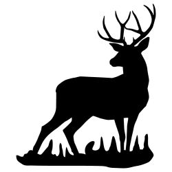 Mule Deer Buck Wall Decal