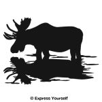 Moose Reflections D...