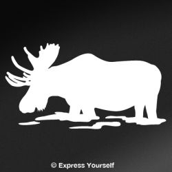 Feeding Moose Decal