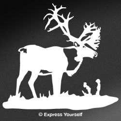 Bull Caribou Decal