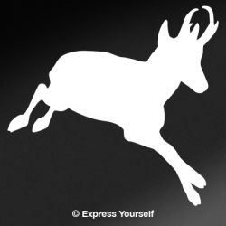 Running Pronghorn Decal