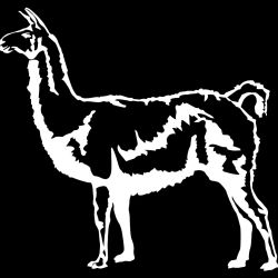 Detailed Llama