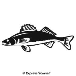 Detailed Walleye Decal