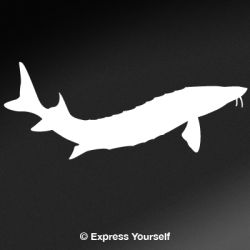 Sturgeon Decal