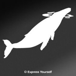 At the Surface Whale Decal