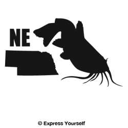 NE Catfish State Fish Decal