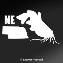 NE Catfish State Fish Decal