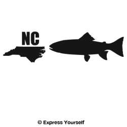 NC S. Appalachian Brook Trout State Fish Decal