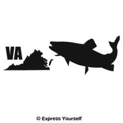 VA Brook Trout State Fish Decal