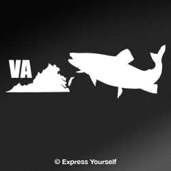 VA Brook Trout State Fish Decal