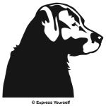 Lab Profile Decal