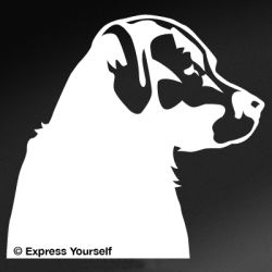 Lab Profile Decal