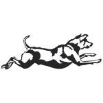 Leaping Lab Decal