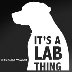 It's a Lab Thing Decal