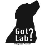 Got Lab? Decal