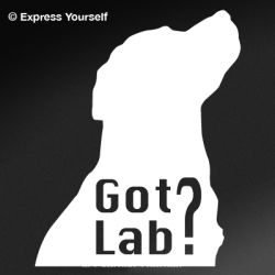 Got Lab? Decal