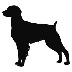 Brittany Alert Wall Decal