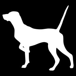 English Pointer Decal