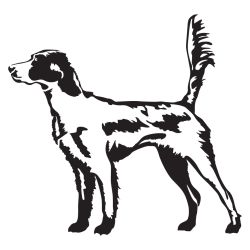 English Setter in the Field Decal