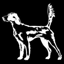 English Setter in the Field Decal