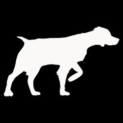 Brittany Spaniel Pointing Decal