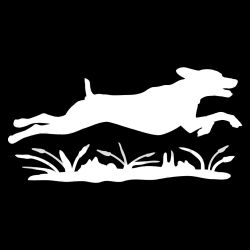 Pointer on the Run Decal