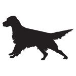 English Setter Ready Decal