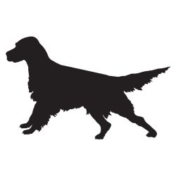 English Setter Ready Decal