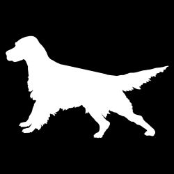 English Setter Ready Decal