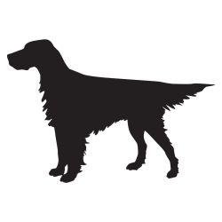 English Setter Standing Decal