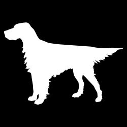 English Setter Standing Decal