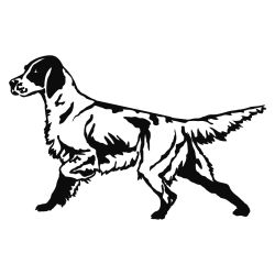 English Setter Detailed Decal