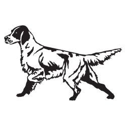 English Setter Detailed Decal