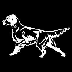 English Setter Detailed Decal