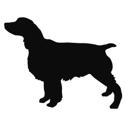 English Springer Decal