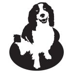 Loyal Companion Springer Decal