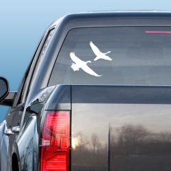 Canadian Flights Geese Decal