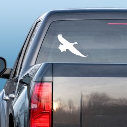 Canada Goose Decal