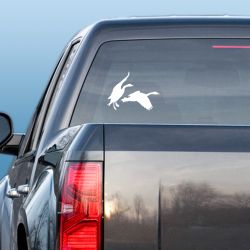 Canadians Landing Decal