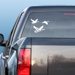 Canadian Formation Decal