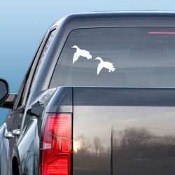 2 Mallards Comin' In Decal