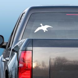 Duck Overhead Decal