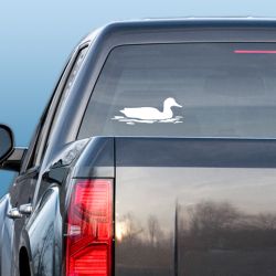 Mallard in Water Decal