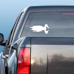 Shoveler Reflections Duck Decal