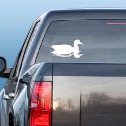 Mallard Swimming Reflection Decal